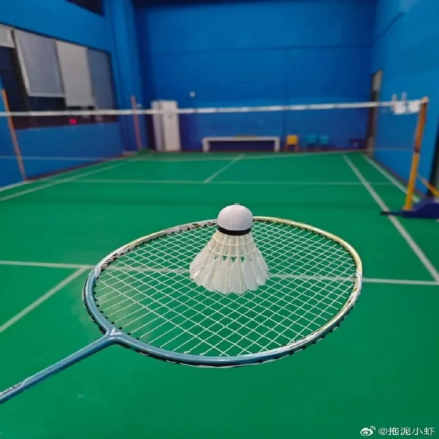 球员训练表现